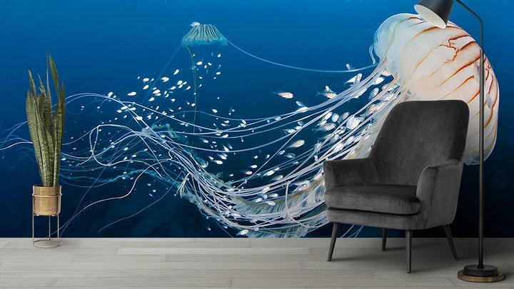 Nature Wallpaper For Hall Wall