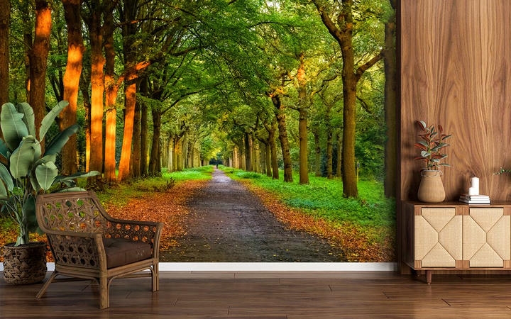Nature Wallpaper For Wall