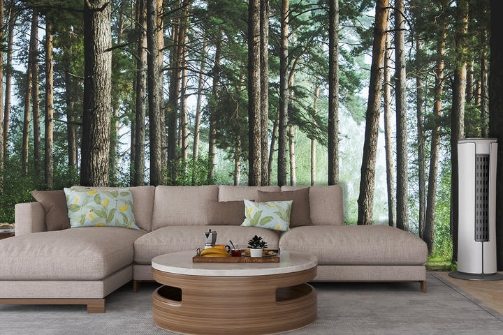 Tree Nature Wallpaper For Wall